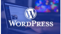 Hướng Dẫn Cách Cài Theme và Plugin Trên WordPress Cho Người Mới
