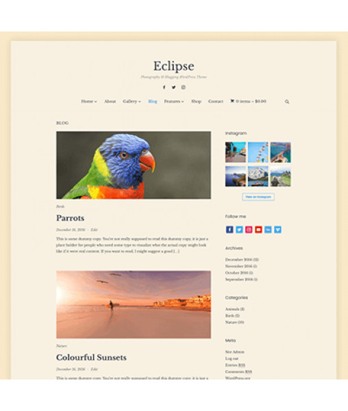 WPZoom Eclipse WordPress Theme
