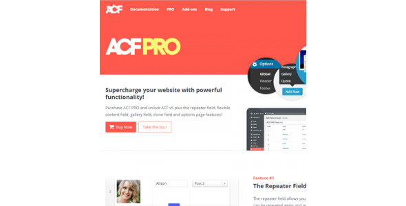 Advanced Custom Fields (ACF) Pro