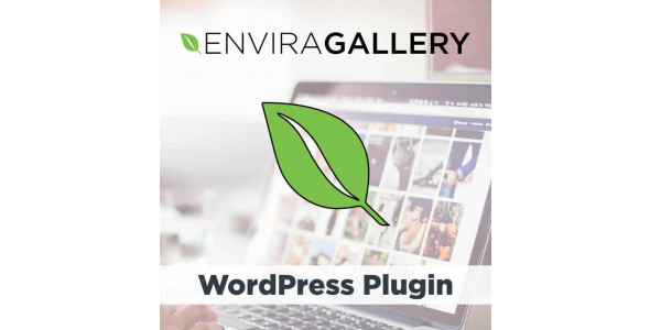 Envira Gallery WordPress Plugin