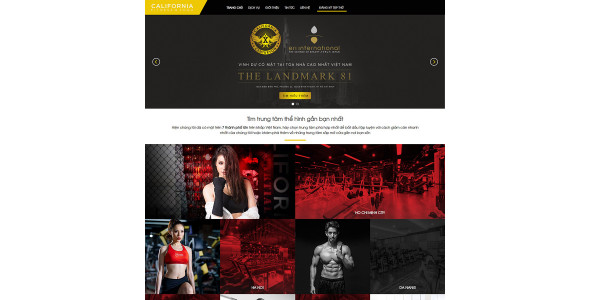 Theme wordpress phòng tập Gym