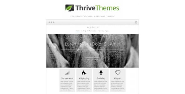 Thrive Themes Minus WordPress Theme
