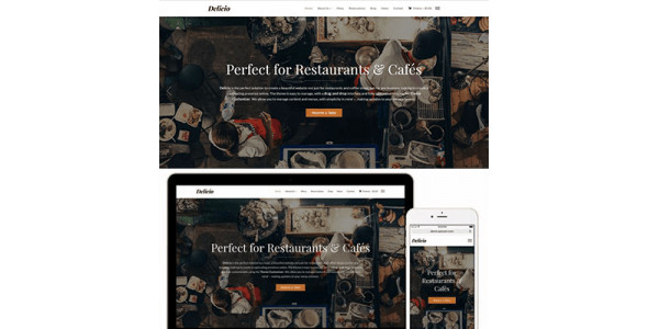 WPZoom Delicio WordPress Theme