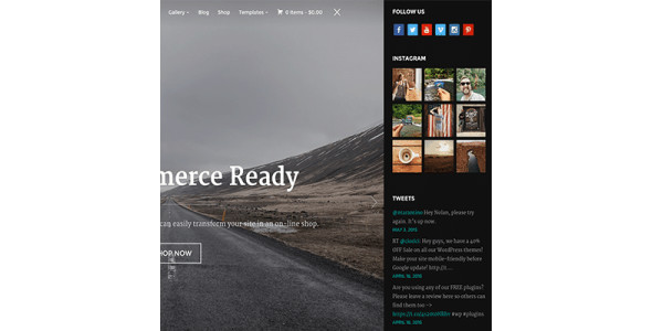 WPZoom Inspiro WordPress Theme