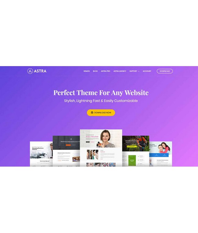 Trọn bộ Astra Pro AGENCY BUNDLE